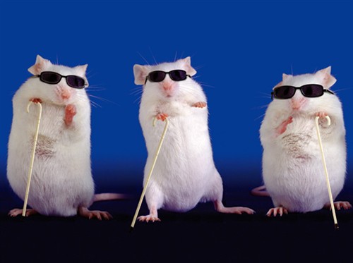 Three Blind Mice 2